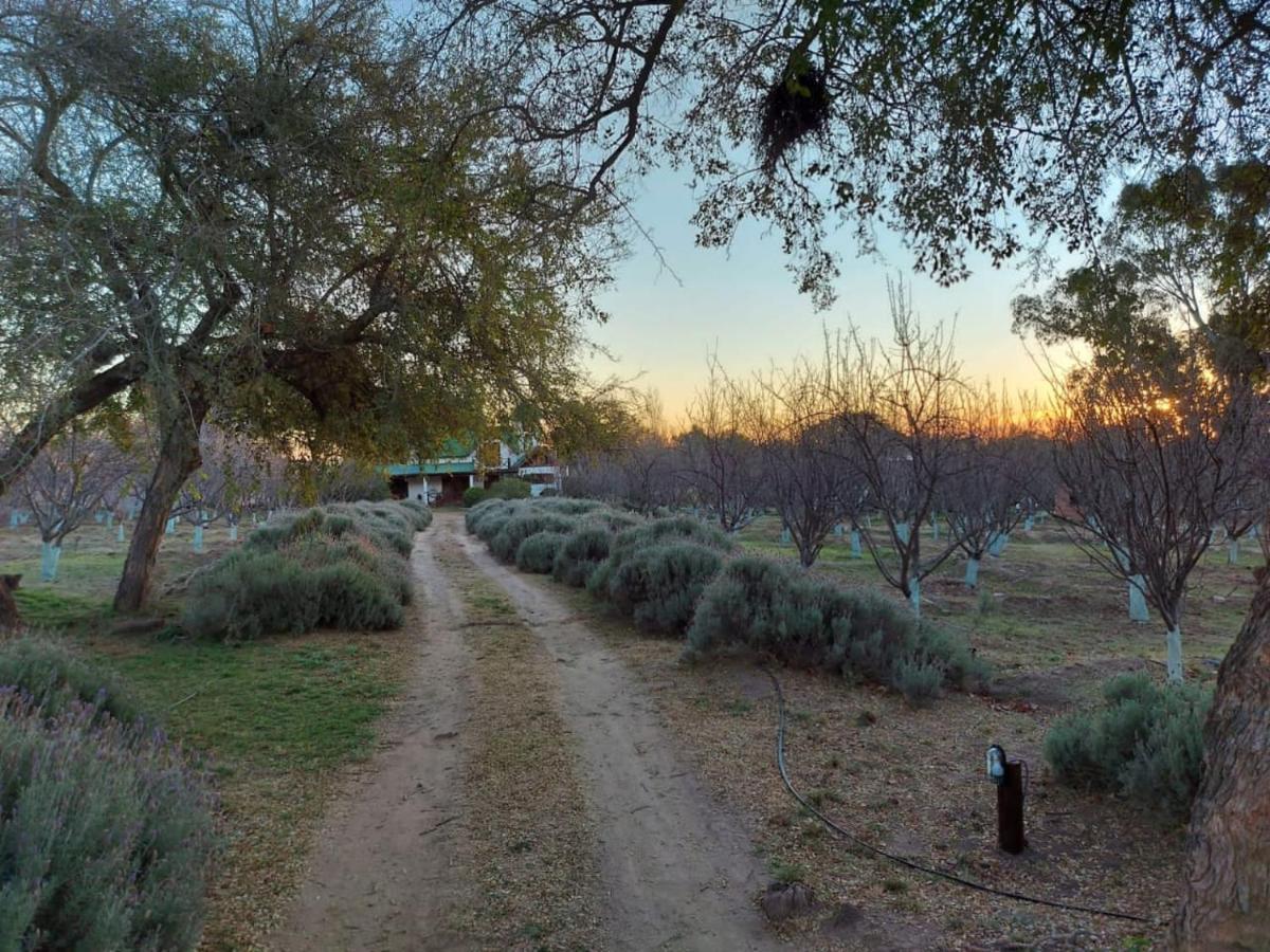 Finca La Julia Луйяба Экстерьер фото
